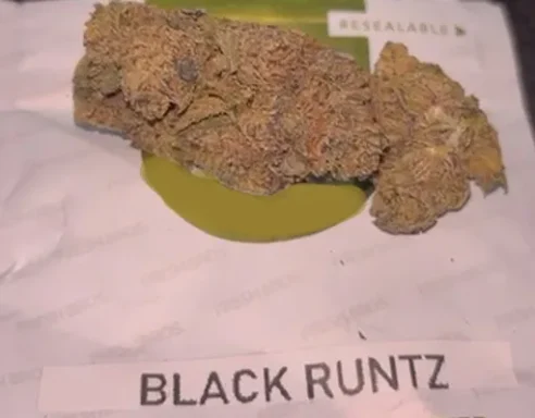Elite Black Runtz THCA Flower – Vex Standard